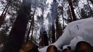 С НОЧЁВКОЙ В ЛЕСНУЮ ИЗБУ. Переночевал в уютной лесной Избе заготовил дрова, чай #бушкрафт #выживание