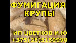 Обработка фосфином (PH3) гороха, гречихи, манной, овсяной, перловки, пшено, риса, фасоли, ячневой.