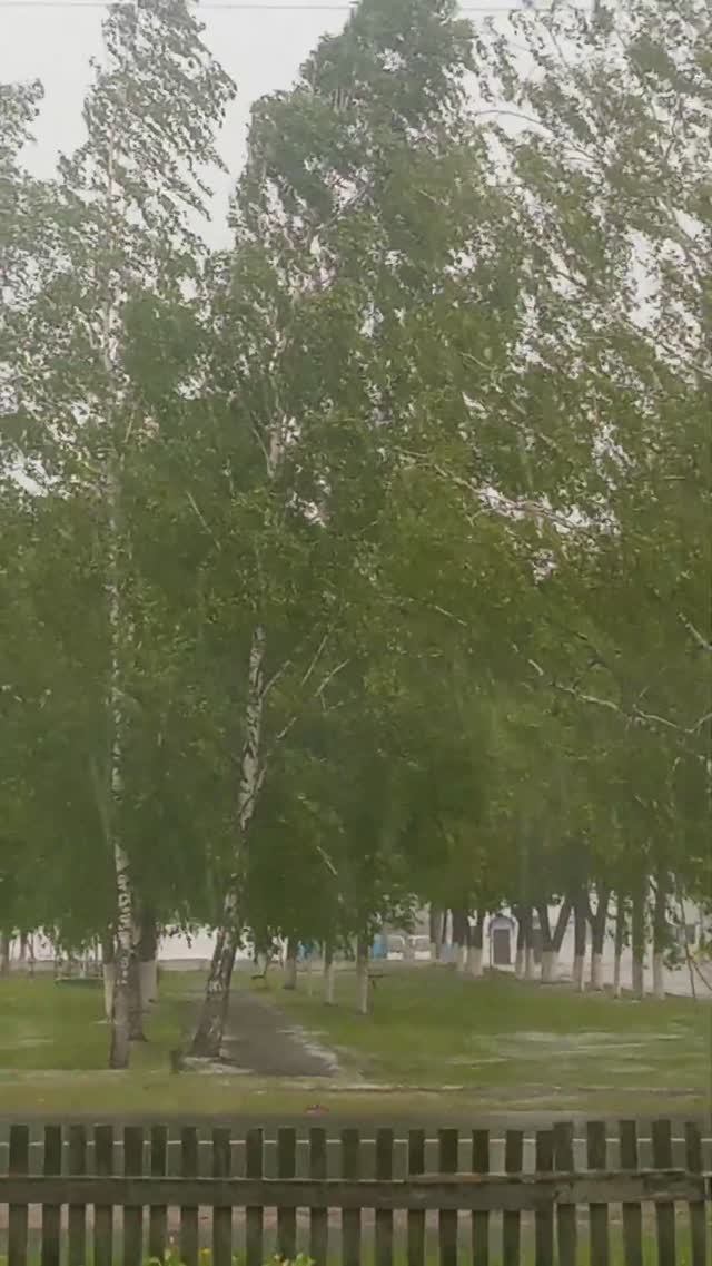 май смотреть онлайн