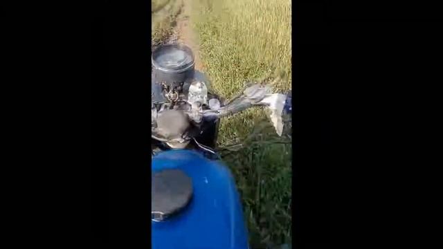 Не особо удачная поездка смотреть онлайн