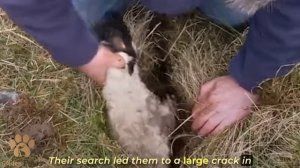 The Men Heard Screams from a Crack in the Ground, what They Found is Beyond Belief!