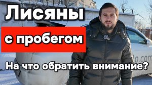 Лисян с пробегом - на что обратить внимание