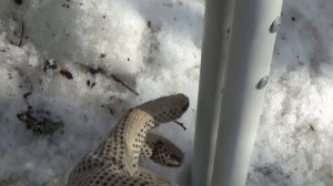 Удлинитель топора или как достать чагу с высоты.