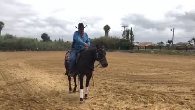 Primer Freno/filete 30 60 90 смотреть онлайн