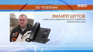 Полосатые хищники продолжают выходить в населенные пункты Хасанского округа и давить собак
