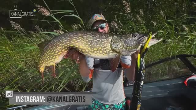 MONSTER vs Tiny Lures for PIKE FISHING 🔥