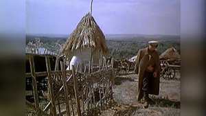 Ветки по лицу