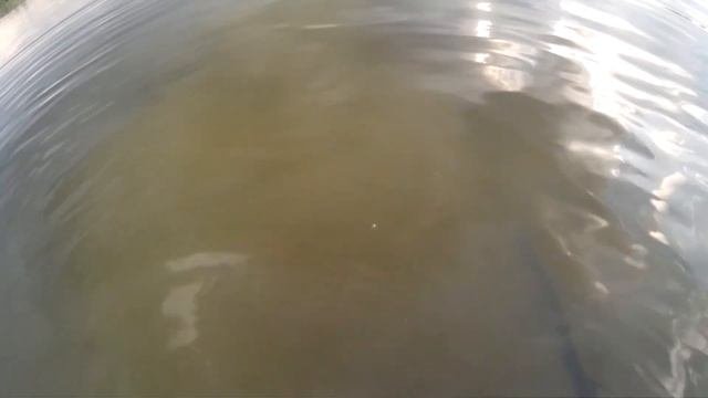 Пляжный коп.Копали до посинения)