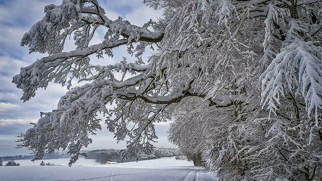 Зимняя красота смотреть онлайн