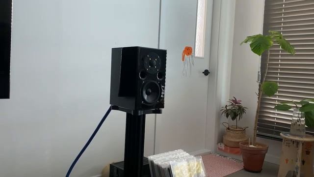 Acoustic Energy AE1 Signature Demo смотреть онлайн