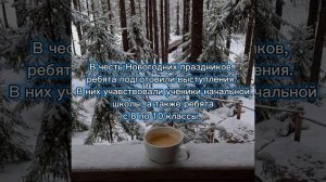 По следам новогодней недели в школе