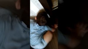 Песенка про Андрюшу