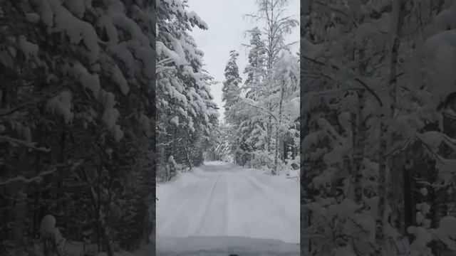 Зимняя сказка