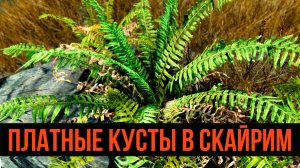 Skyrim - Купи Два Куста в Скайрим + Новая магия, ингредиенты и канализация. ( Платные моды )