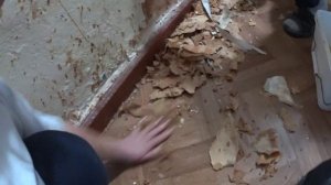 РАБОТАЕМ ПОТИХОНЕЧКУ.