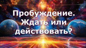 Пробуждение. Ждать или действовать. Людмила Долгая и Марат Арстангалиев