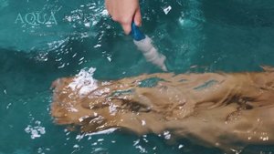 AquaForma студия массажа и коррекции фигуры г.Новороссийск
