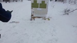 Гроза-М1 отстрел на кучность с 5 и 10м