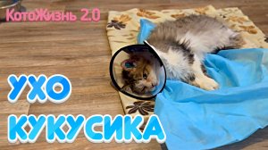Ухо Кукусика
