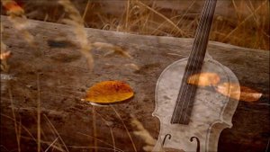 Скрипка  музыка души