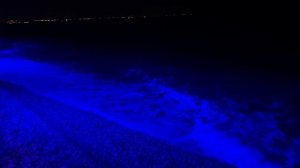 Идём прощаться с морем. Необычное море на пляже Коньяалты в Анталье. Зачем нам берег турецкий?