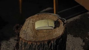 Издевательство над мышами