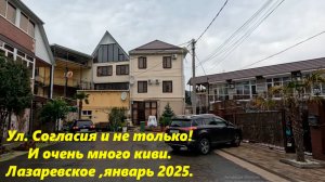 Лазаревское в январе 2025. ул.Согласия и не только!  ЛАЗАРЕВСКОЕ УЛИЦЫ,ЛАЗАРЕВСКОЕ  ВИДЕО,