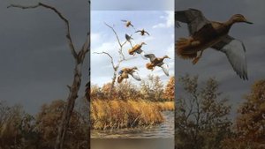 Просто таёжная песня