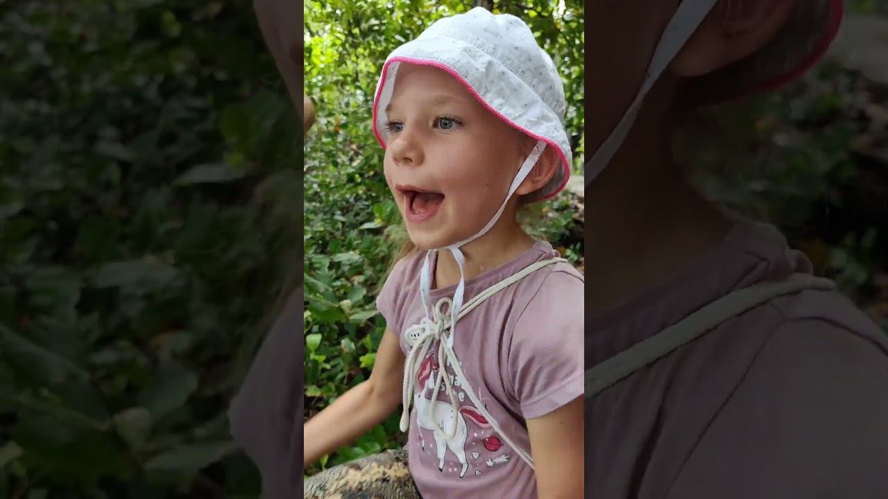 Она ВЫЖИЛА в ДИКОЙ ПРИРОДЕ! Путешествие по СЕЙШЕЛАМ