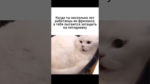 Не надо так! смотреть онлайн