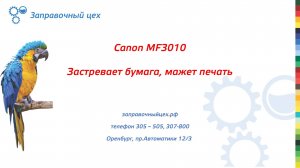 Canon MF3010: мажет печать, застревает бумага