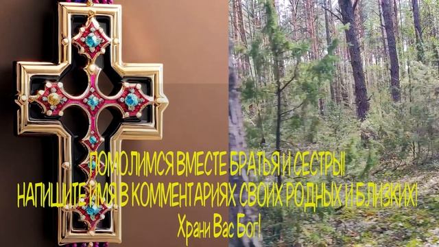 🙏Молитва ВСЕГО 1 МИНУТА И ПРОИЗОЙДЁТ ЧУДО. ИЗБАВЬСЯ ОТ ГРЕХОВ И БОЛЕЗНЕЙ СЕГОДНЯ.🙏🙏 смотреть онлайн