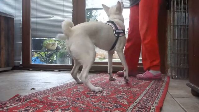 Maffi povely 10 m смотреть онлайн