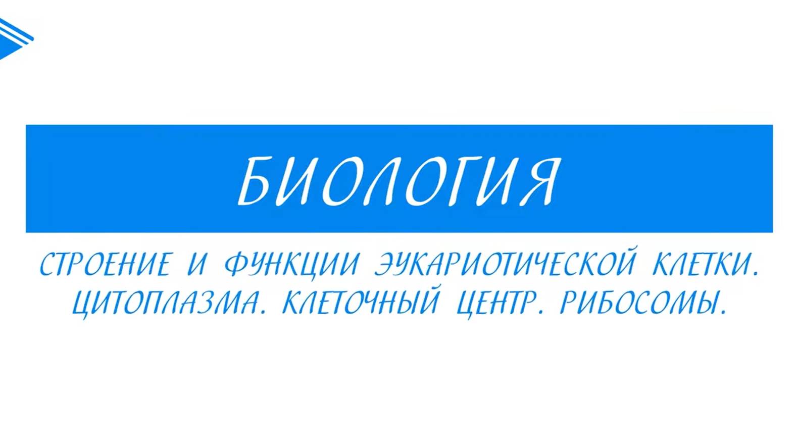 10 класс - Биология - Цитоплазма. Клеточный центр. Рибосомы