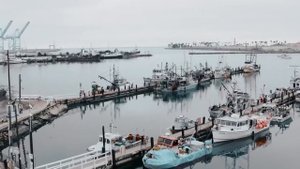 Wallem ft. Mult96 - Она безумна (Kang Remix)