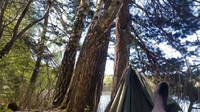 Жуковка Брянск смотреть онлайн