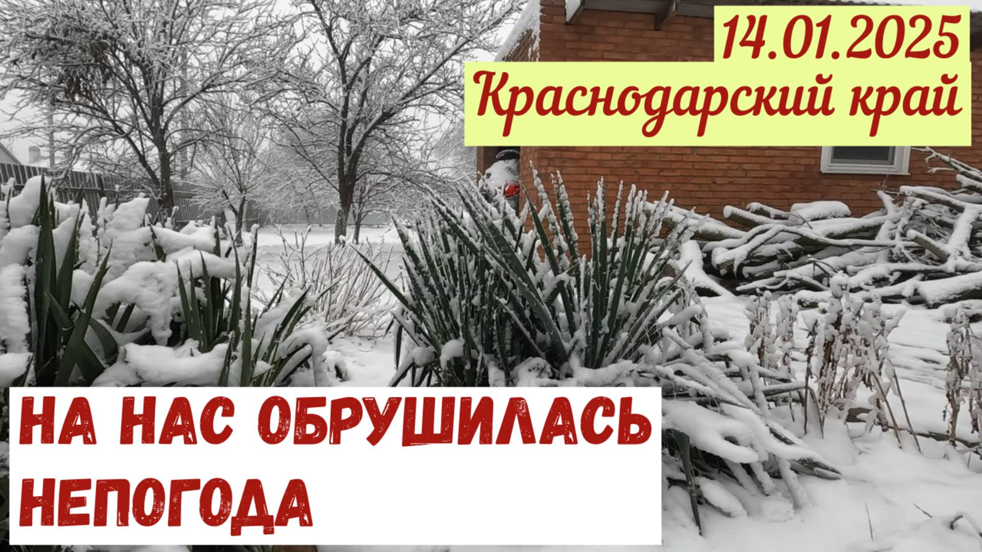 Краснодарский край(14.01.2025). Нас накрыли снегопад и морозы. Что будет дальше?