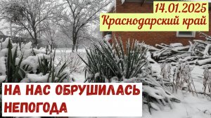 Краснодарский край(14.01.2025). Нас накрыли снегопад и морозы. Что будет дальше?