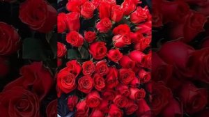 МИЛЛИОН АЛЫХ РОЗ...