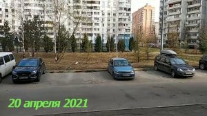 ТАЙМЛАПС! 3 Месяца За 1 Минуту! Интересно! Ждем Новые Клипы!