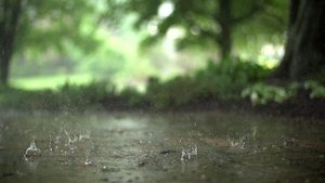 Капли дождя в супер Замедленной съемке