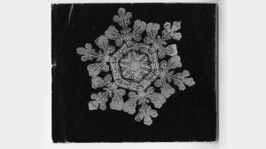 Первая фотография снежинки #history #интересныефакты #историческиефакты #история #любопытныефакты