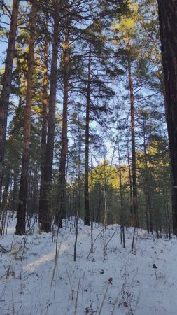 Старый Новый год встретили, теперь и до весны рукой подать