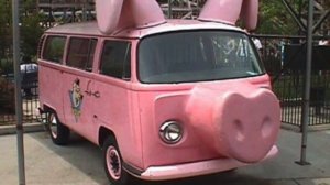 Смешные машины, необычные, забавные и сумашедшие машины  Crazy car #1 Sunny Money