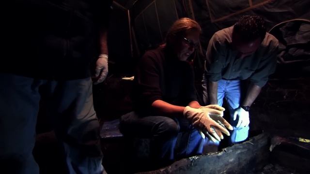 Arctic Manhunt: Hunt for the Mad Trapper смотреть онлайн