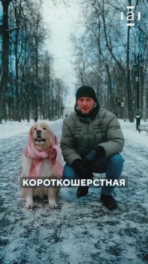 Рассказываем простые правила, которые помогут сделать прогулки зимой комфортными