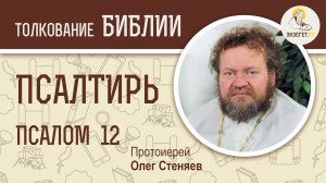 Псалтирь. Псалом 12. Протоиерей Олег Стеняев. Библия
