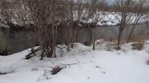 Опасное место #нашёл на рыбалке #заброшенное и #опасное #Старое #старое #здание