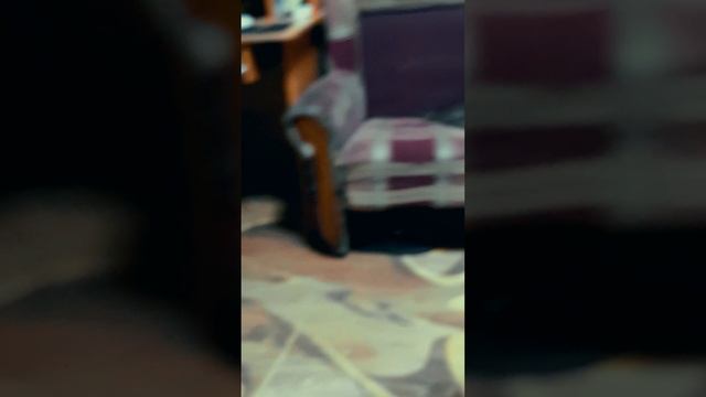 Энергичный танец😎