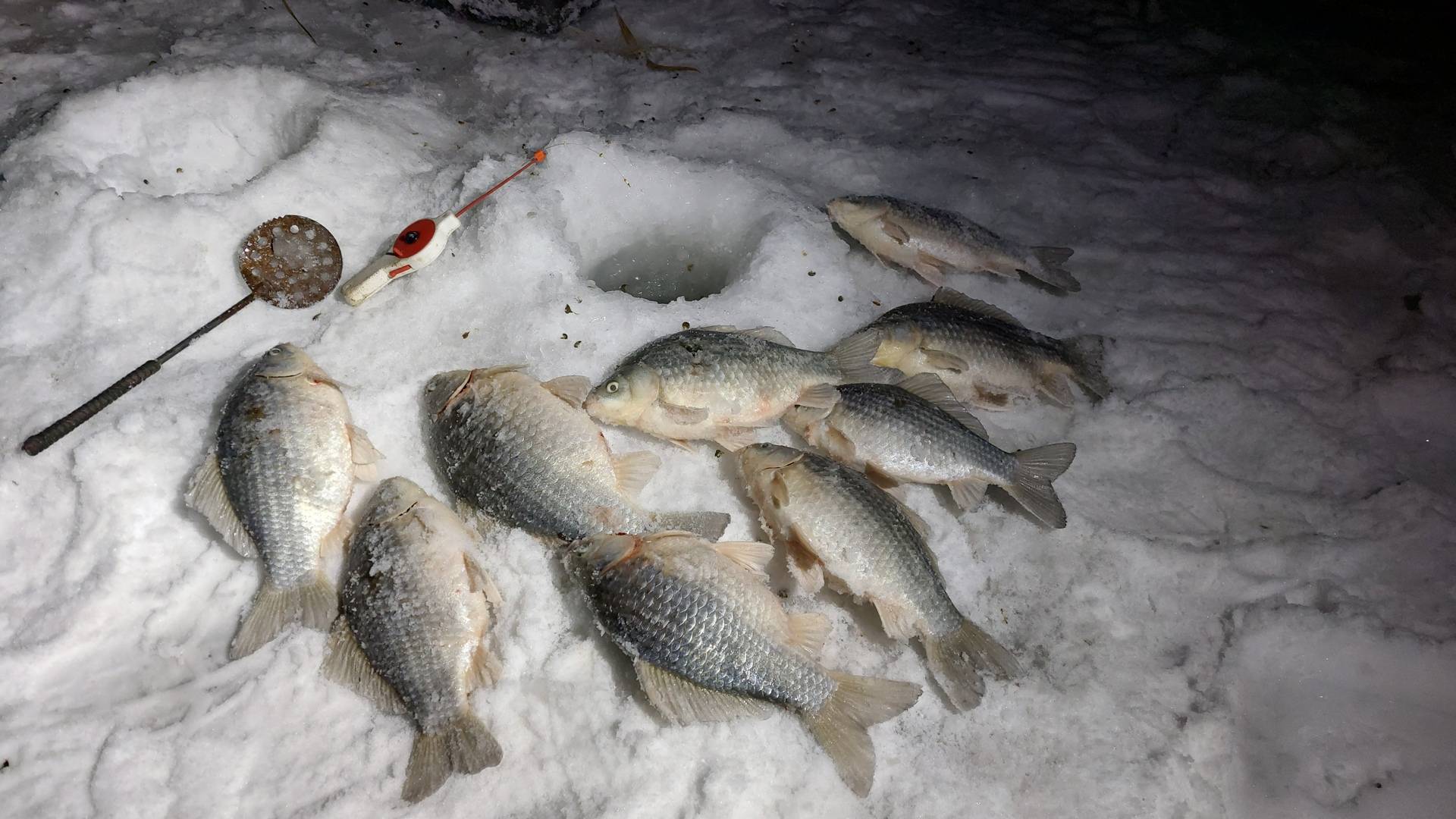 НАШЛИ РЫБУ ТОЛЬКО ВЕЧЕРОМ смотреть онлайн